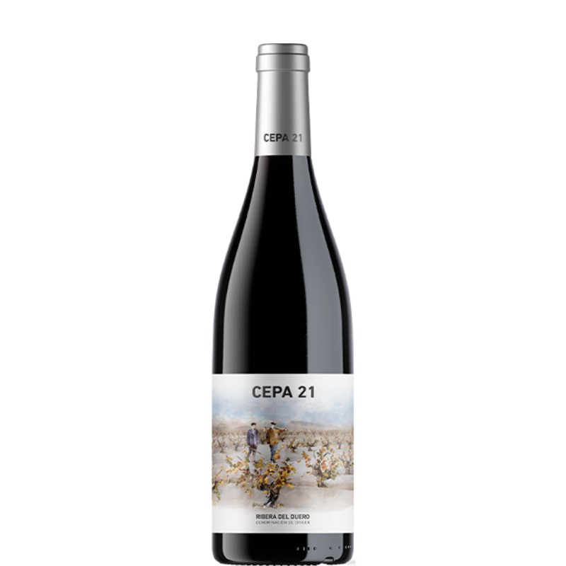 Botella de vino Cepa 21 2022