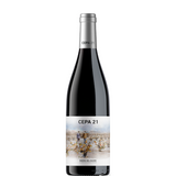 Botella de vino Cepa 21 2022
