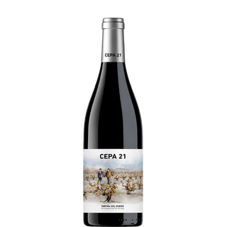 CEPA 21 2022