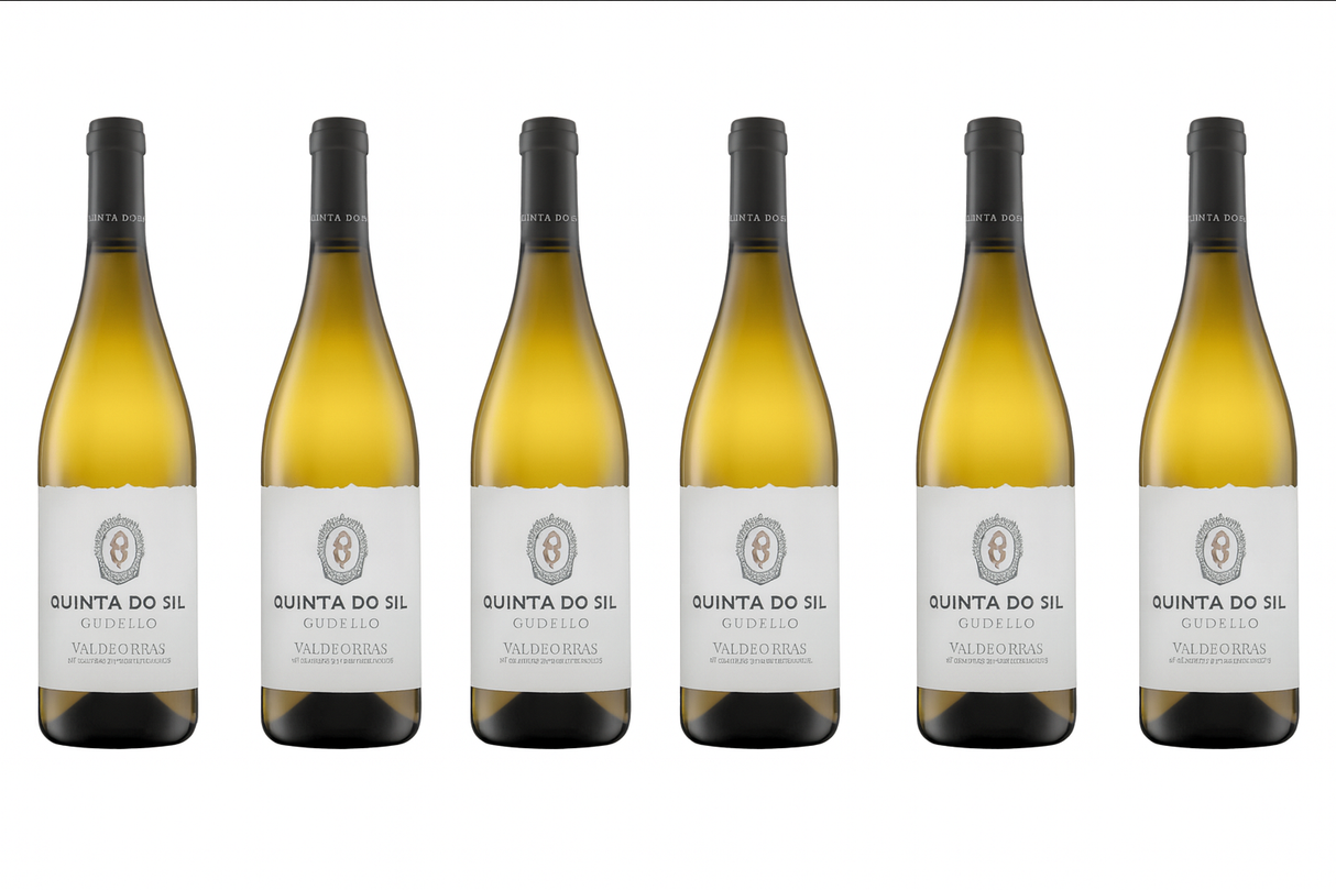 QUINTA DO SIL 2024
