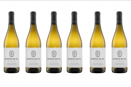 QUINTA DO SIL 2024