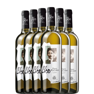 EL LOCO de Finca de la Colina 2024 x6 botellas