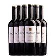 6 botellas de Figuero 12 meses 2021