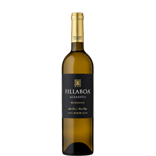 FILLABOA 2023
