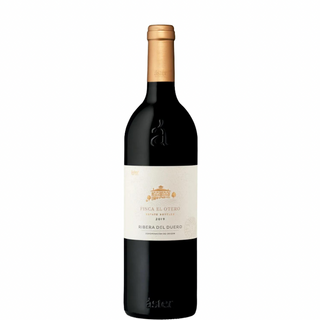 ASTER FINCA EL OTERO 2021