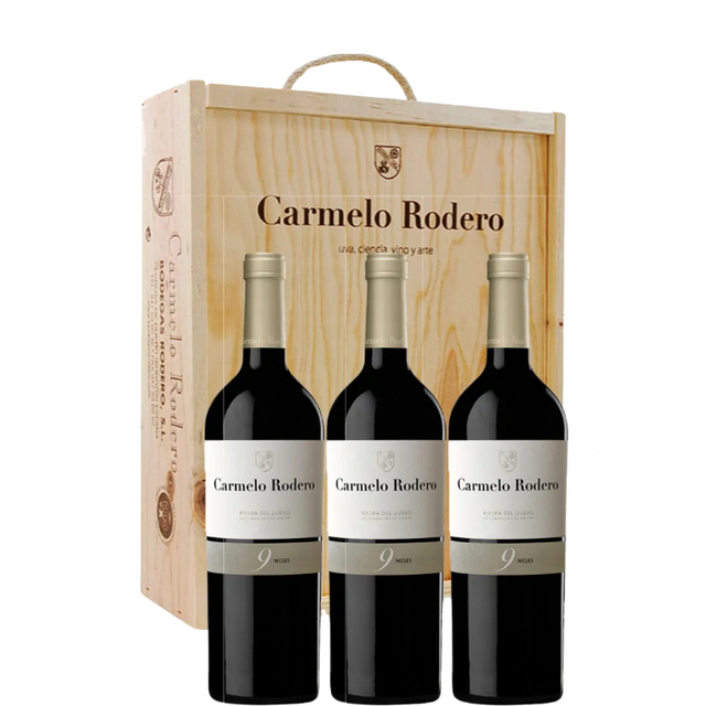 CARMELO RODERO 9 Meses 2023