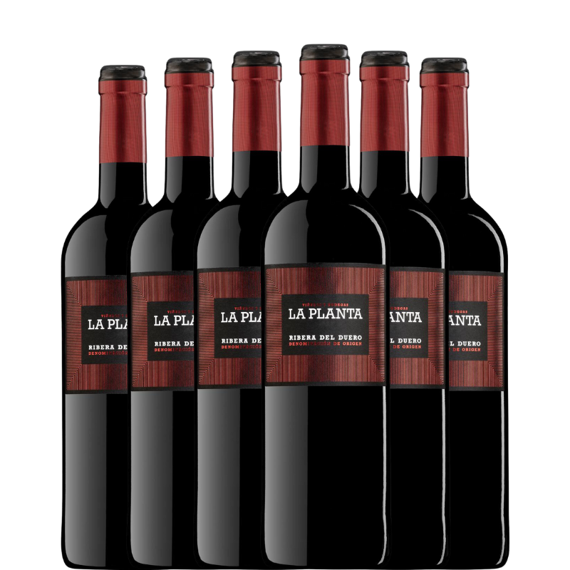 6 botellas de La Planta 2023
