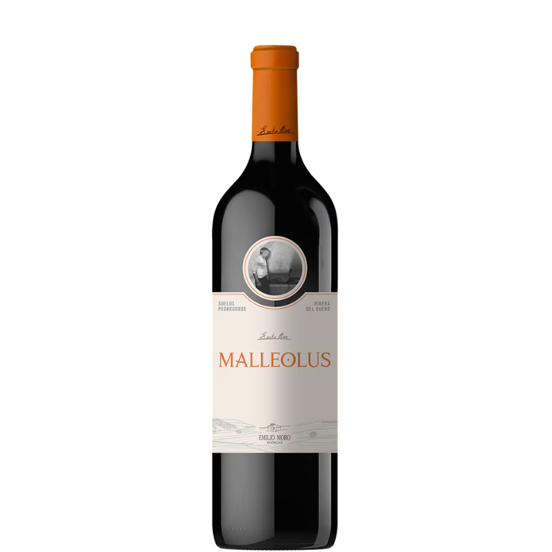 MALLEOLUS 2023