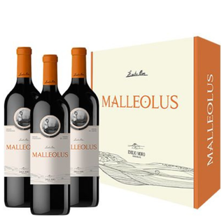 MALLEOLUS 2023 x3 + Estuche