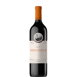 MALLEOLUS 2023
