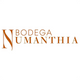 Bodega Numanthia