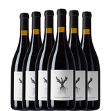 Seis botellas de PSI 2023