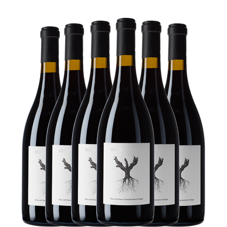 Seis botellas de PSI 2023