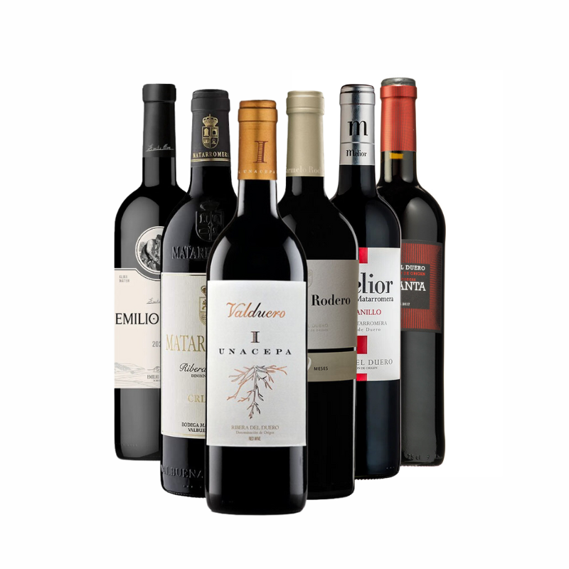 Selección RIBERA DEL DUERO