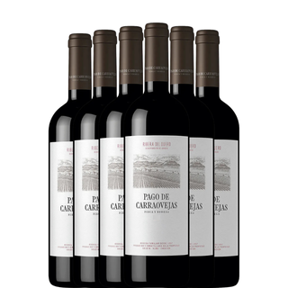PAGO DE CARRAOVEJAS 2023 x6 botellas