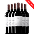 6 botellas de Pago de los Capellanes Crianza 2023 con envío gratis