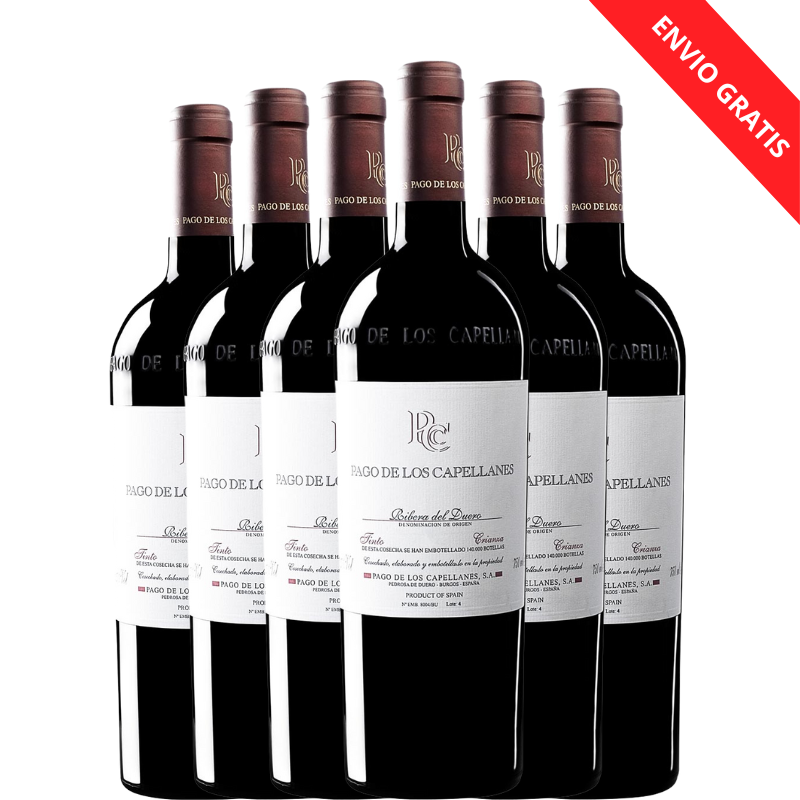 6 botellas de Pago de los Capellanes Crianza 2023 con envío gratis
