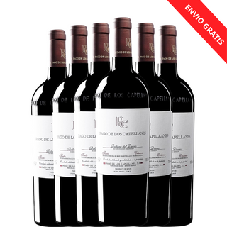 PAGO DE LOS CAPELLANES Crianza 2023 x6 botellas