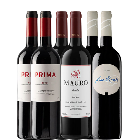 6 botellas de vino de la Bodega Mauro