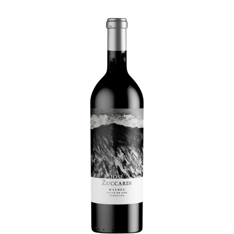 JOSE ZUCCARDI 2020