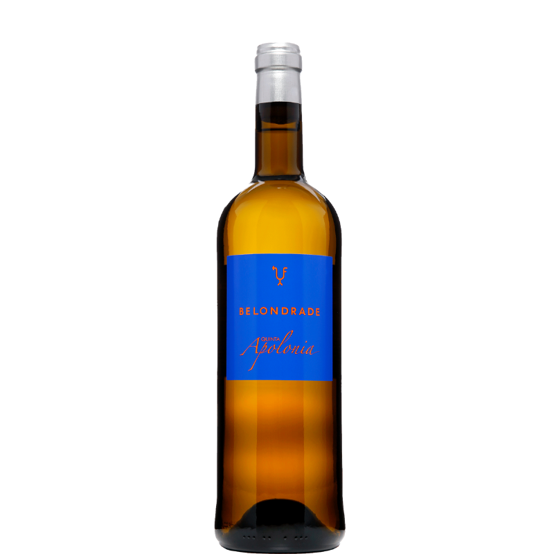 BELONDRADE QUINTA APOLONIA 2023
