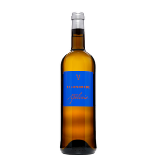 BELONDRADE QUINTA APOLONIA 2023