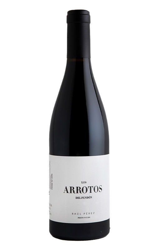 LOS ARROTOS DEL PENDON 2020