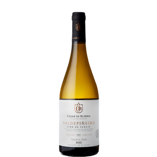 CASAR DE BURBIA VALDEPIÑEIRO 2022