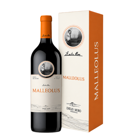 Botella de Malleolus Magnum 2022