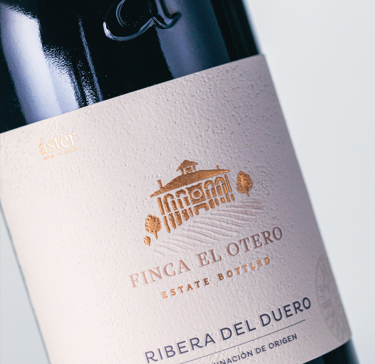 ASTER FINCA EL OTERO 2019