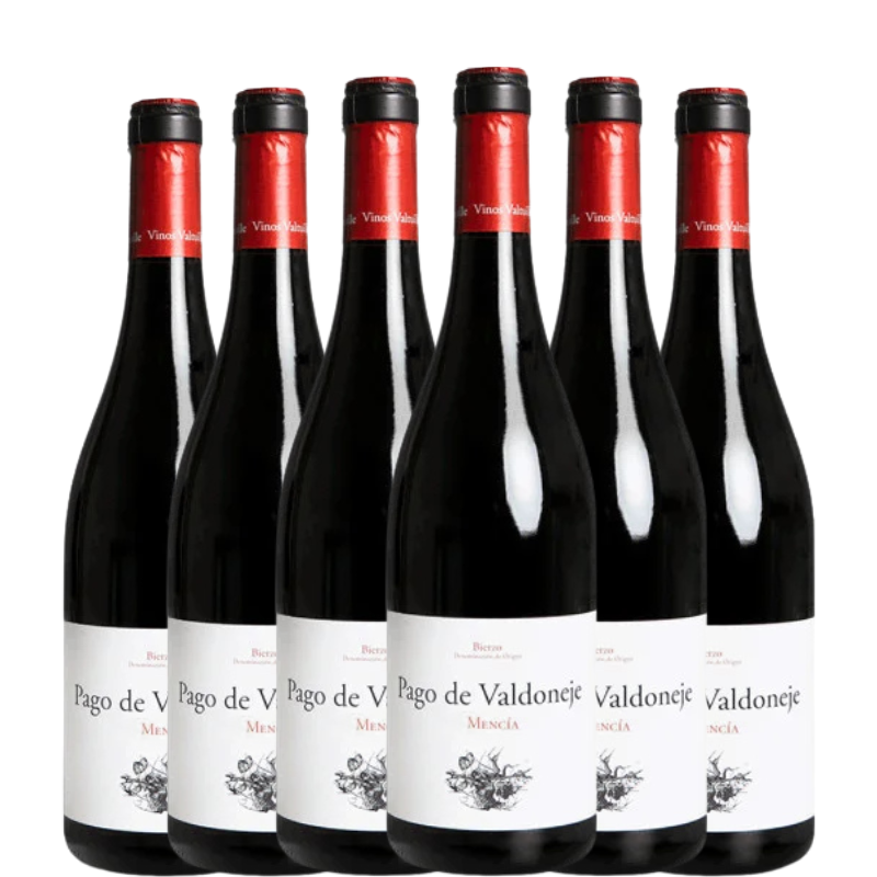 PAGO DE VALDONEJE 2023 x6 botellas