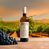 TERRAS GAUDA 2025 x6 botellas